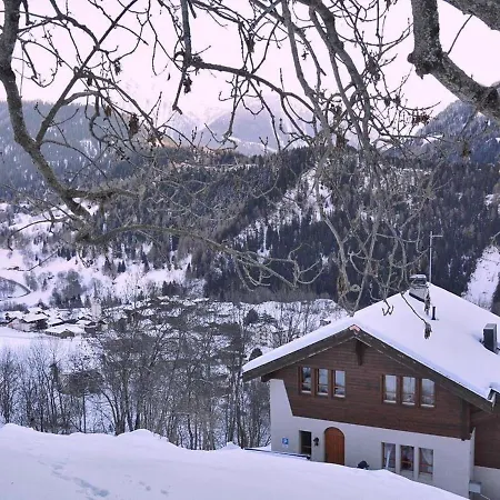 Apartment Pantke- Wohnung Breithorn Appartement *